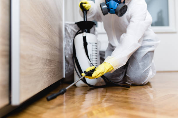 Best Emergency Pest Control  in Meridian, CO