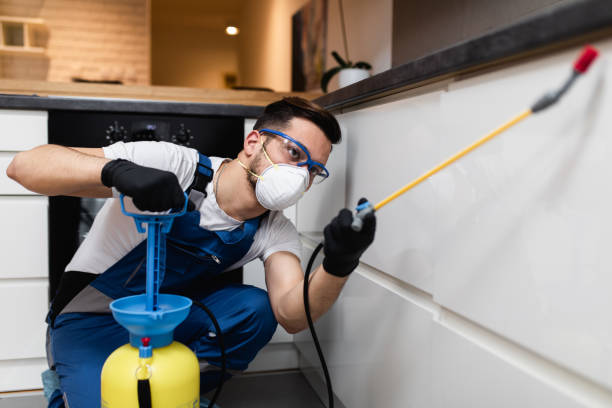 Best Wildlife Control Services  in Meridian, CO